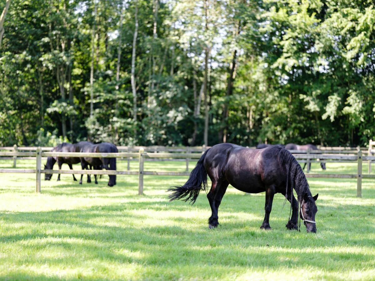 B & B St-Hubert Sint-Martens-Lennik Exteriör bild